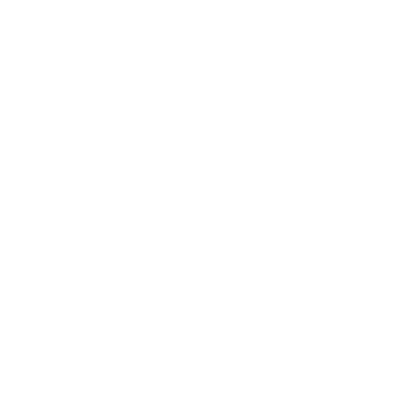 Melucci Firm P.C. emblem